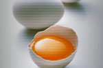 卵殻と卵殻膜の再生利用
